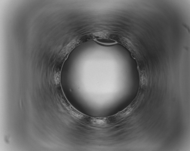 X0000102270285200808011435