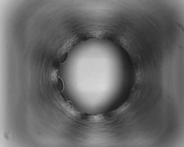 X0000102270286200808011435