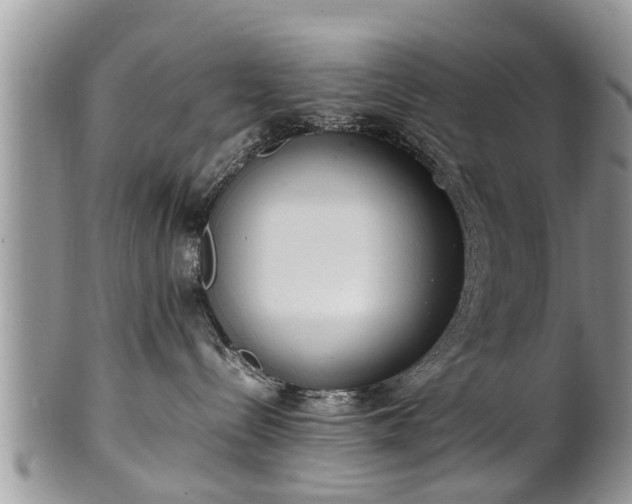 X0000102270288200808011435
