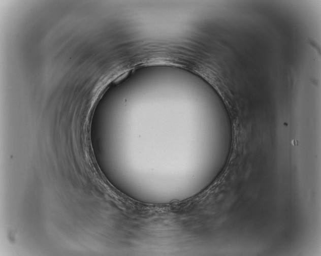 X0000102270289200808011434