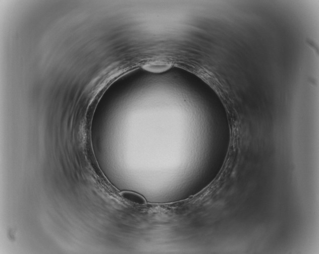 X0000102270290200808011434