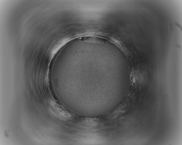 X0000102270292200808011434