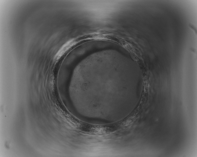 X0000102270295200808011434