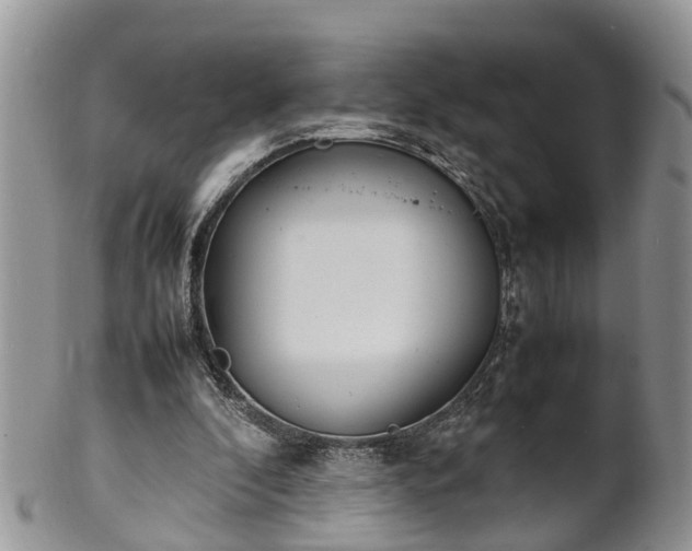 X0000102270296200808011434
