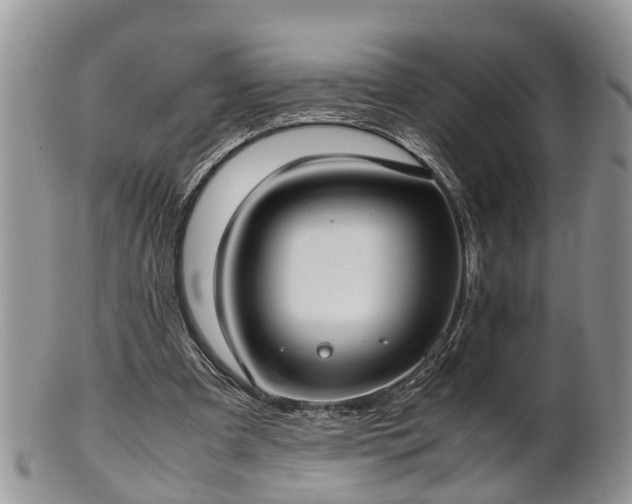 X0000102270297200808011434