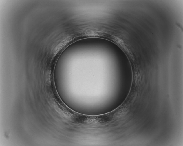 X0000102270299200808011434
