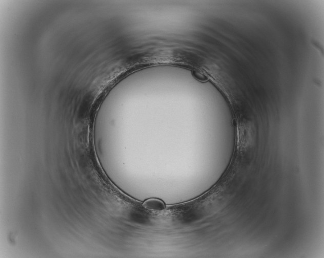 X0000102270301200808011434