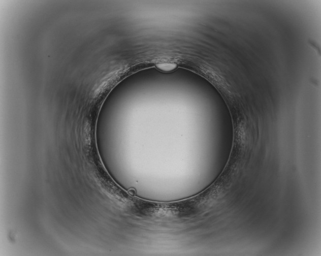 X0000102270303200808011434
