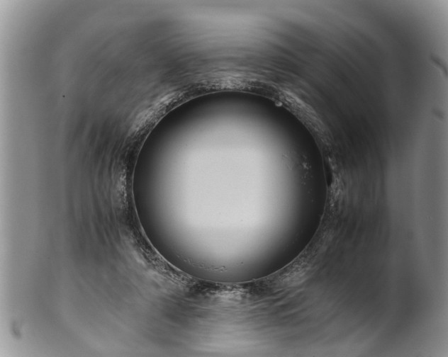 X0000102270306200808011434