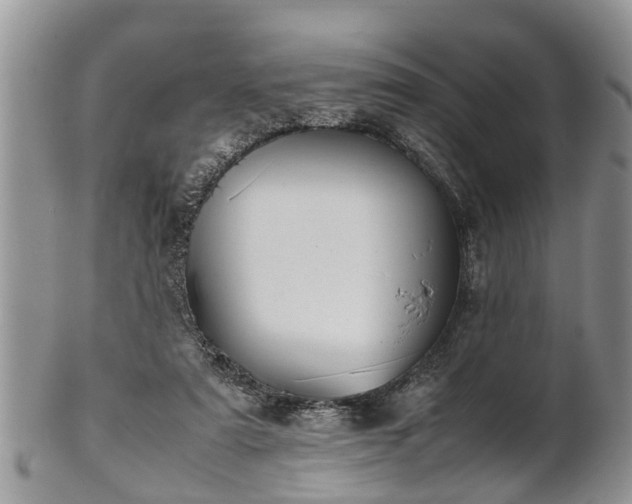 X0000102270307200808011433