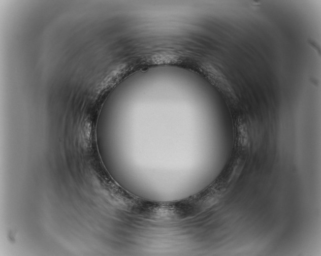 X0000102270308200808011433