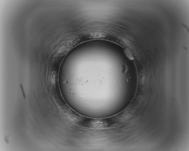 X0000102270315200808011433