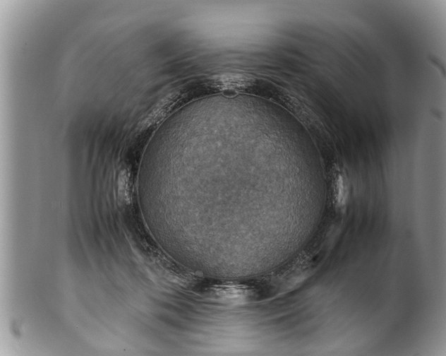 X0000102270316200808011433