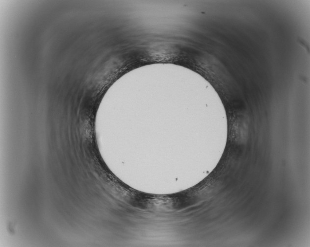 X0000102270317200808011433