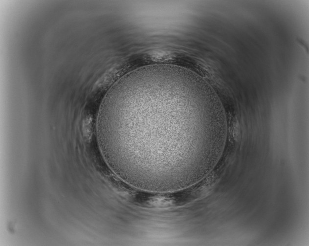 X0000102270319200808011433
