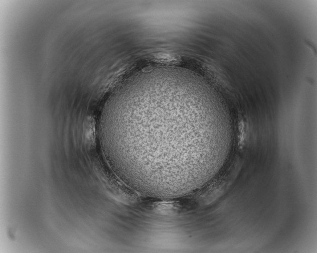 X0000102270320200808011433