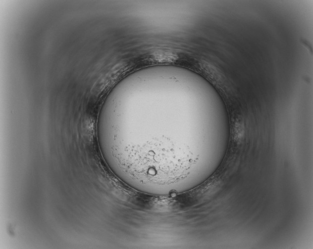 X0000102270321200808011433