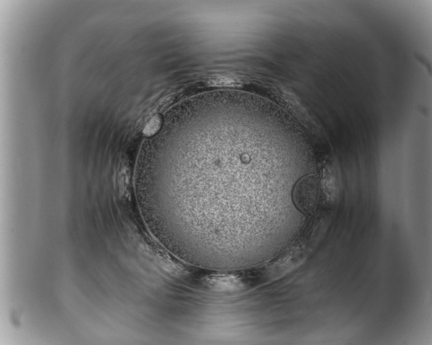 X0000102270322200808011433