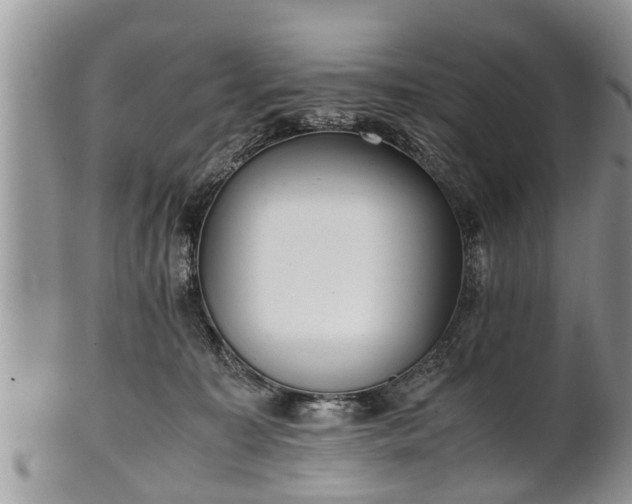 X0000102270323200808011433