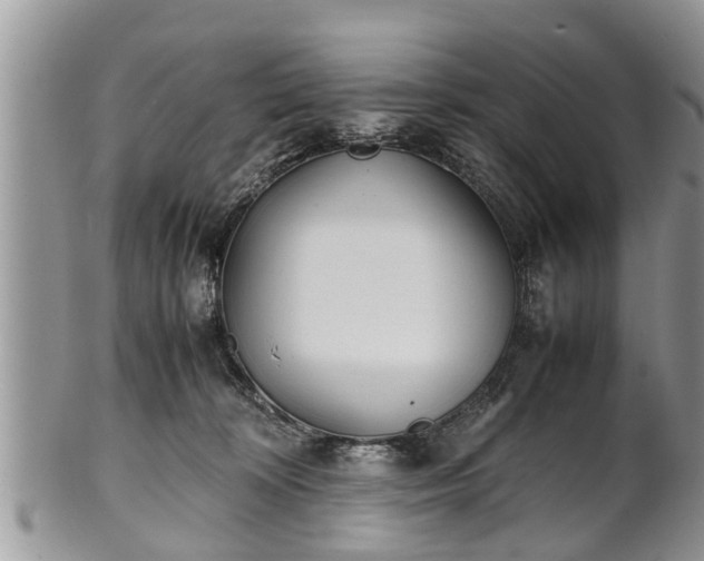 X0000102270324200808011433