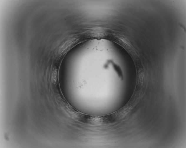 X0000102270325200808011433