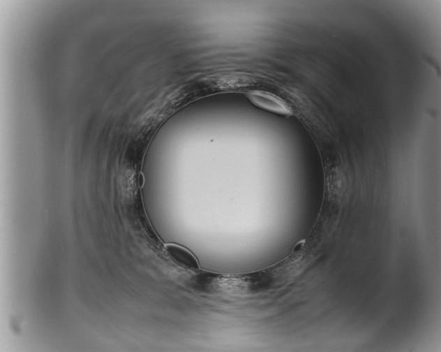 X0000102270327200808011433