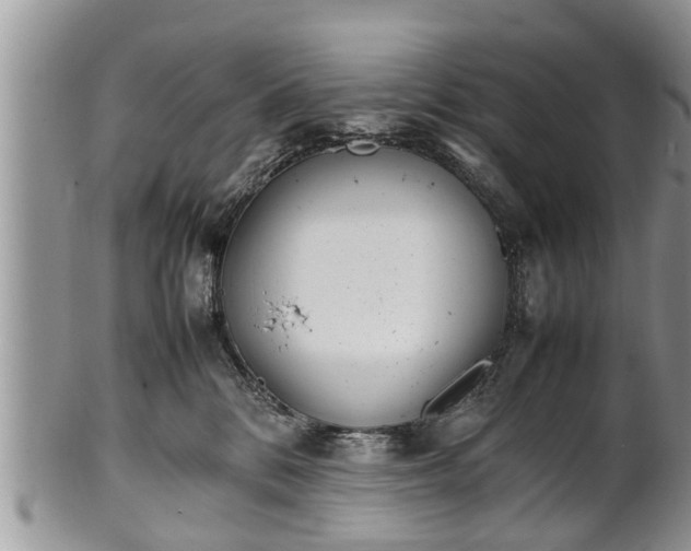 X0000102270328200808011433
