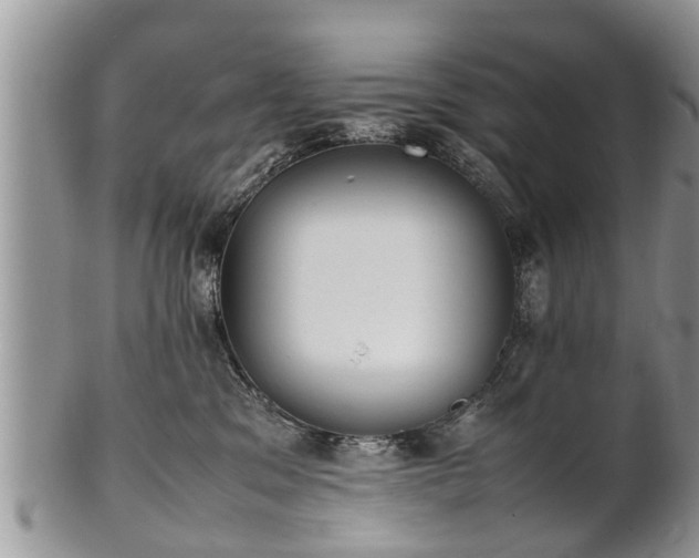 X0000102270329200808011433