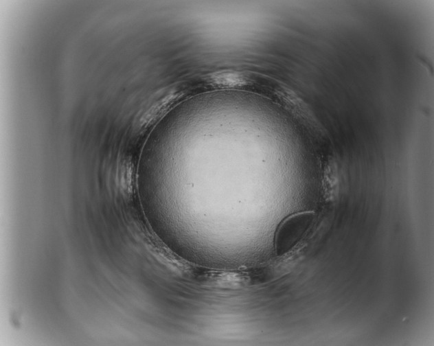 X0000102270330200808011433