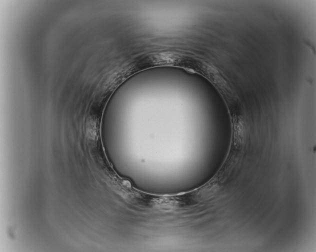X0000102270331200808011433