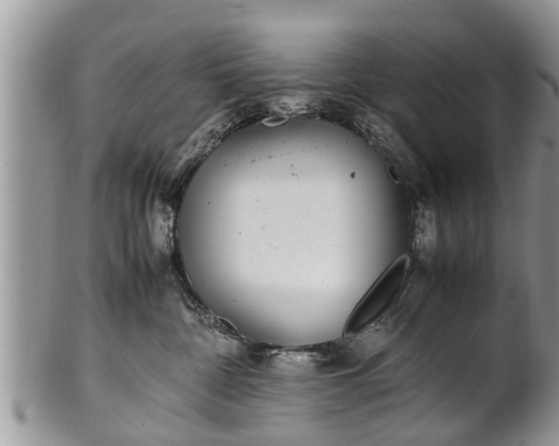X0000102270332200808011433
