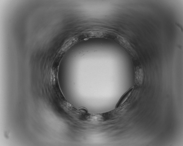 X0000102270333200808011433