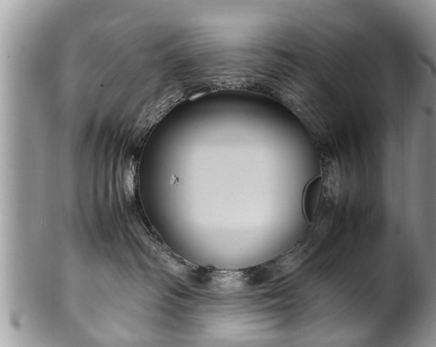 X0000102270334200808011433