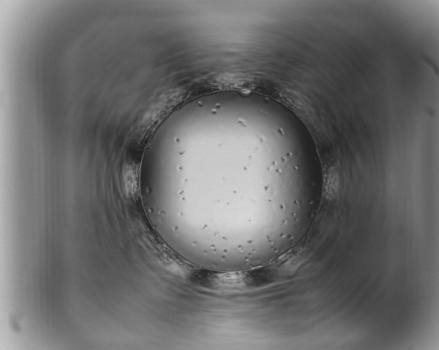 X0000102270335200808011433
