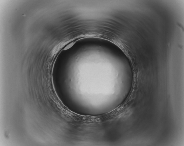 X0000102270337200808011432