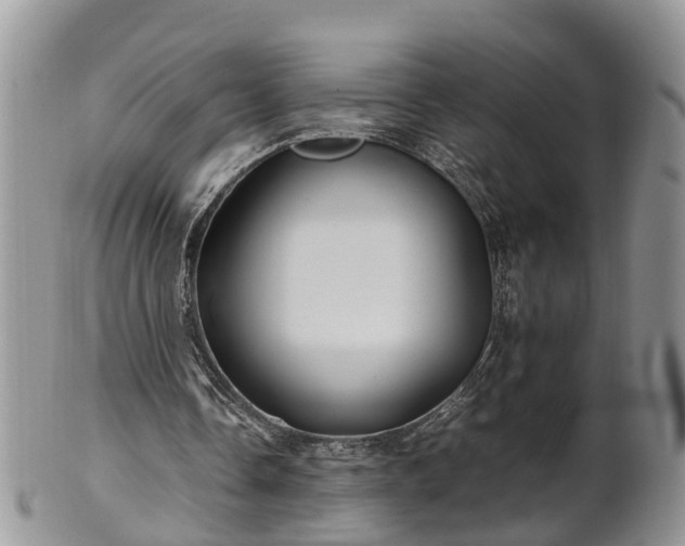X0000102270338200808011432