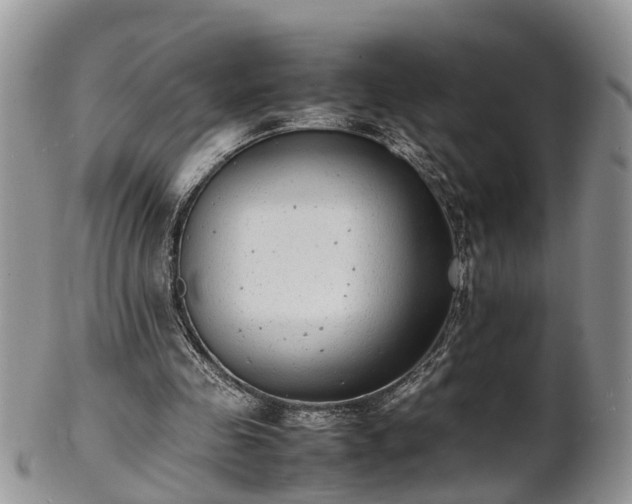 X0000102270341200808011432