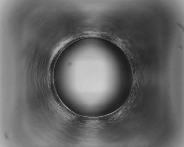 X0000102270342200808011432