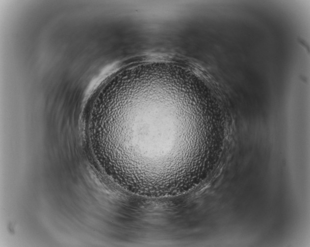 X0000102270343200808011432