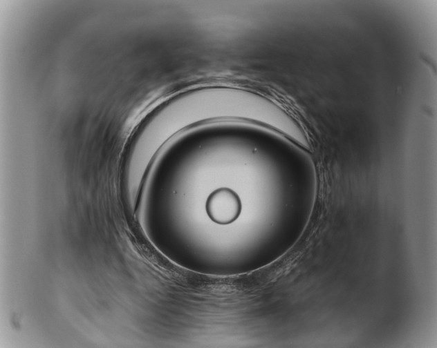 X0000102270344200808011432