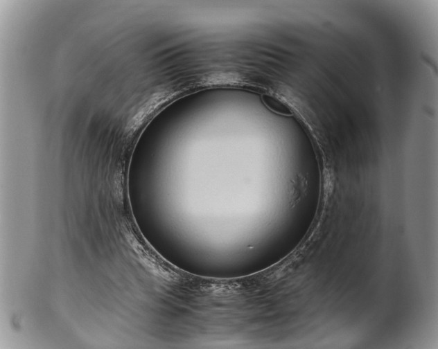 X0000102270345200808011432