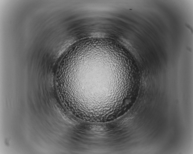 X0000102270347200808011432