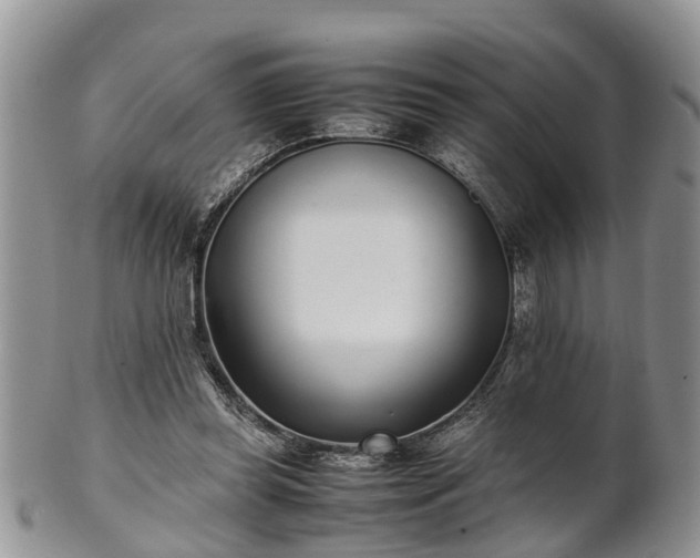 X0000102270349200808011432