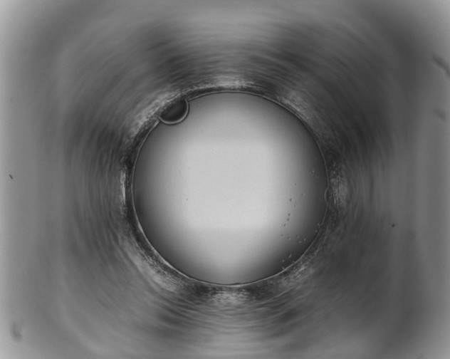 X0000102270350200808011433