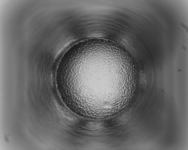 X0000102270351200808011433