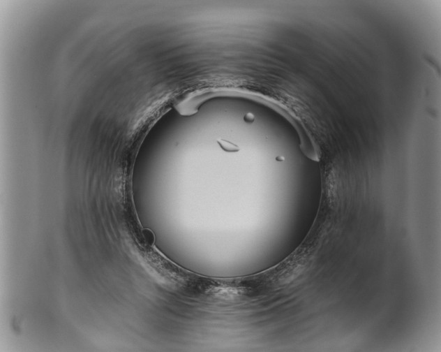 X0000102270352200808011433