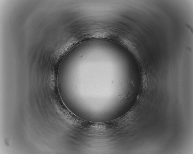 X0000102270354200808011433