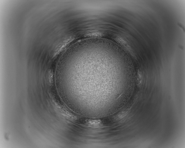 X0000102270355200808011433