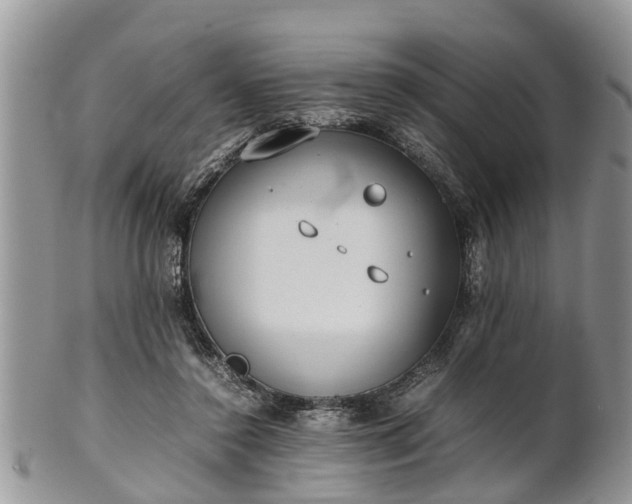 X0000102270356200808011433