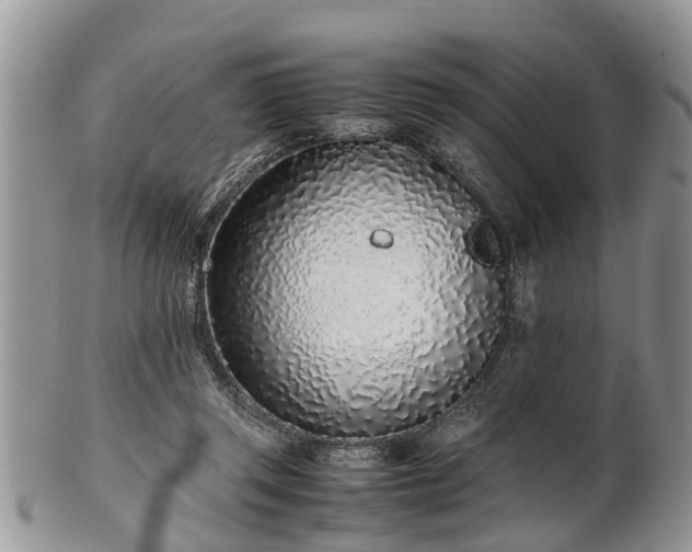 X0000102270357200808011433